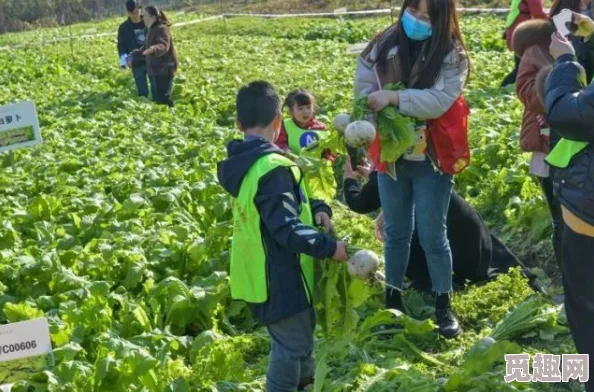 互娱社区拔萝卜：玩家们齐心协力，共同参与趣味活动，收获快乐与友谊的精彩瞬间！