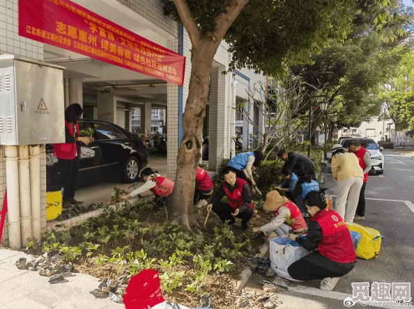 海角社区绿意盎然：新植树种活动启动，居民共同参与美化家园提升生态环境质量