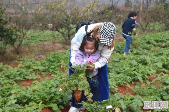 一小孩和妈妈摘萝卜，欢声笑语中体验丰收的乐趣与亲子间的温馨时光