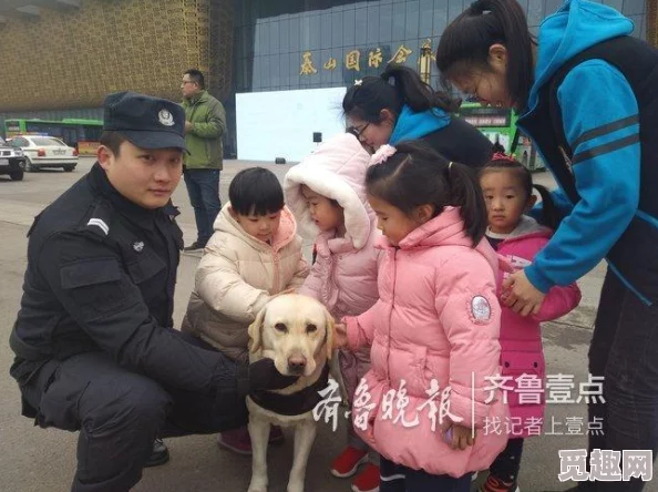 吕总训练张警犬，展现默契配合与专业技能，助力提升警犬工作效率和安全性，共同守护城市安宁