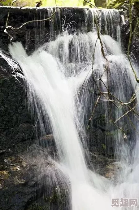 在耸动的拍打声中，黏腻水波激荡出白沫，探寻自然与心灵交织的奇妙乐章