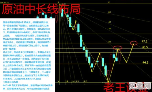 17c19.cap：深入分析17世纪至19世纪的资本主义发展及其对现代经济体系的影响与启示