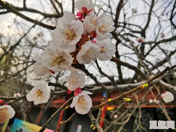 亚洲春色在线视频，画面精美，内容丰富，让人感受到浓厚的春日气息