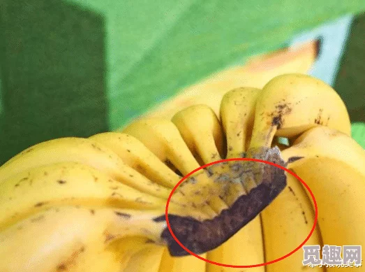 avtt香蕉久久：最新动态显示该平台持续更新内容，吸引了大量用户关注与参与，互动性显著增强
