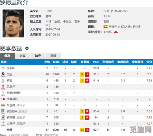 详尽无遗的罗德里攻略大全：掌握精髓的策略与技巧指南