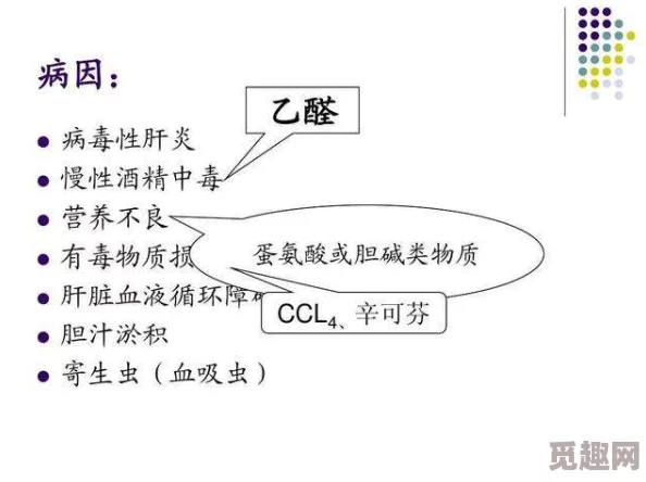 3p一攻一受一夹心双性在多元关系中找到平衡与快乐，尊重彼此的选择，共同创造美好的体验与回忆