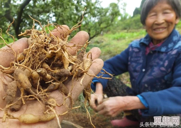 久草a视频传播积极向上的生活态度鼓励大家追求梦想与幸福共同创造美好未来