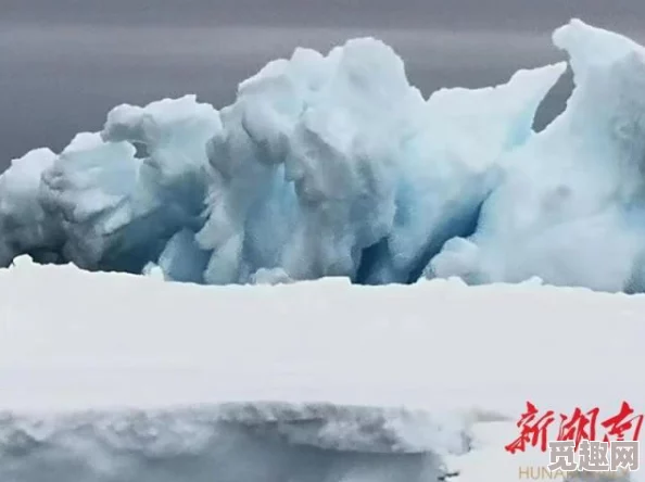 自走棋手游中威猛海象拳王技能属性图鉴详解，冰原之主棋子究竟有多强大