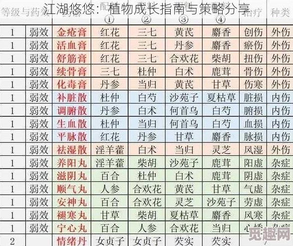 江湖悠悠公测快速发育全攻略：高效成长流程详解，网友热评必备指南