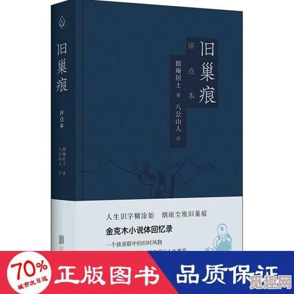 王都创世录刷小说书全面攻略：高效技巧与网友热评推荐指南