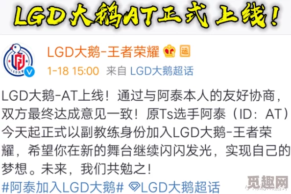 鹅鸭杀身份窃贼玩法全攻略：深度解析如何玩转，网友热评技巧大放送！