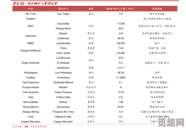 口袋高手满级VIP价格揭秘：最新VIP等级价目表及网友真实评价