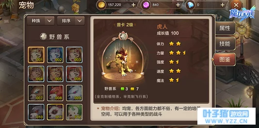 萝莉有杀气！惊喜宠物培养秘籍大公开，高效技巧深度解析