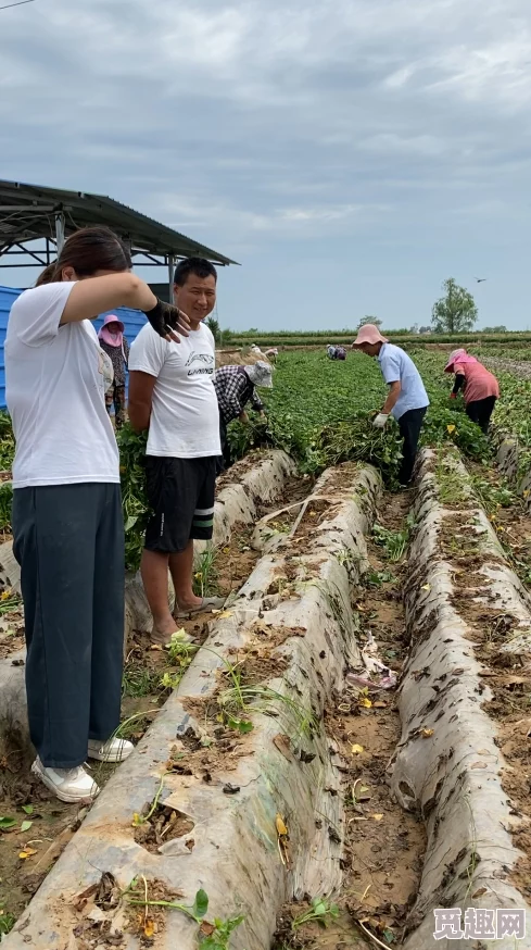 被改造成双xing大nai收获的季节播种希望迎接美好未来