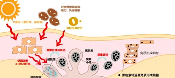 多p大杂交近日一项研究显示多p大杂交在生物多样性保护中发挥了重要作用