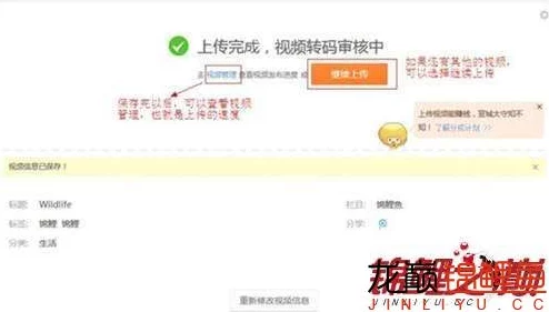 宝贝我想添你下面的视频上传进度99%即将完成