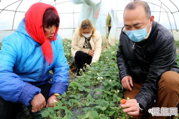 一级律师草莓车让我们一起追求梦想勇敢前行创造美好未来