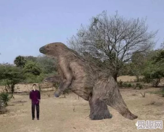 鲁鲁射惊现神秘巨型生物体型巨大疑似史前物种