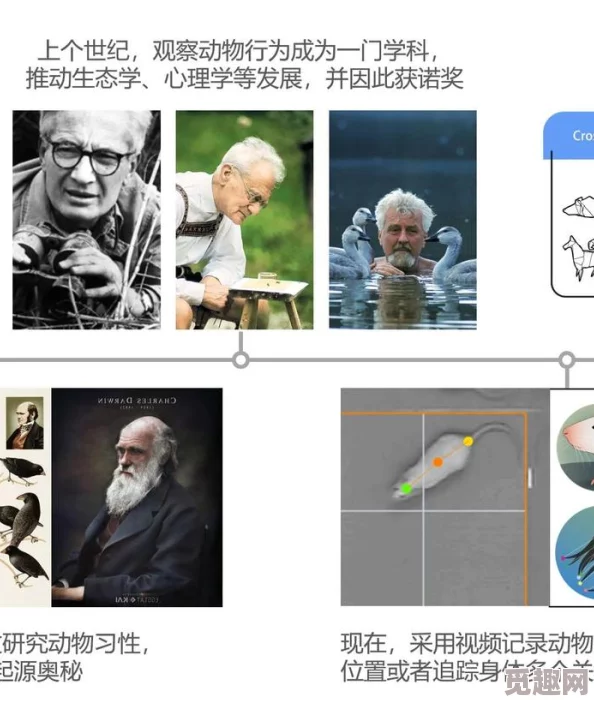 人物动物交互75实验结果令人失望未达预期效果