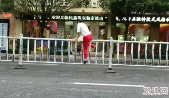 羞羞在线平台内容及用户群体特征分析