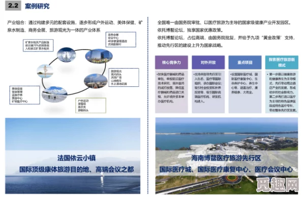 独家爆料：心动小镇鸟类资料卡全新获取攻略大揭秘