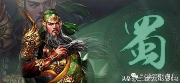 三国志战棋版武将推荐攻略 武将选择指南与建议