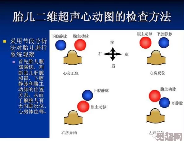 2025艾尔登法环龙心脏获取途径全解析及最新速刷方法